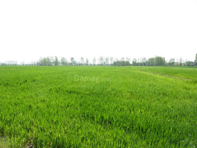 Vendita di Terreno agricolo a Imola