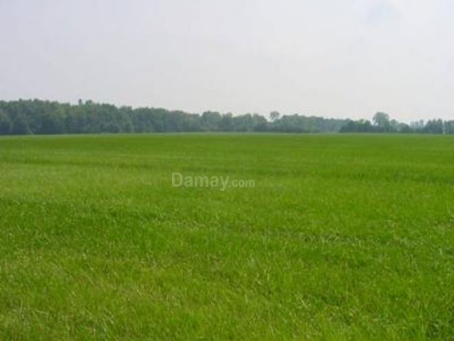 Ravenna Terreno agricolo