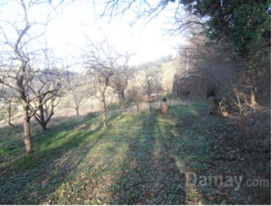 Vendita di terreno-agricolo a predappio