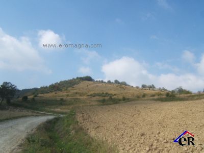 Vendita di terreno-agricolo a predappio