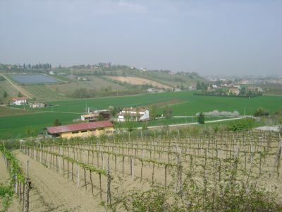 Vendita di Terreno agricolo a Longiano