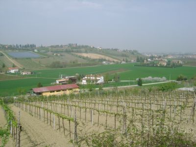 Vendita di terreno-agricolo a longiano