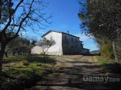 San Carlo di Cesena Terreno agricolo