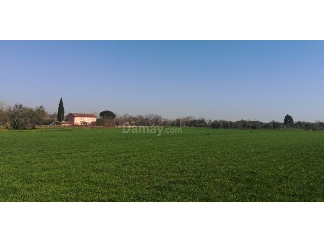 Vendita di Terreno agricolo a Verucchio