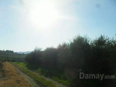 Roncofreddo Rustico