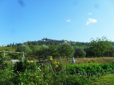 Roncofreddo Rustico