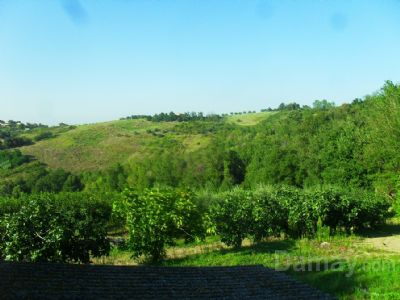 Roncofreddo Rustico