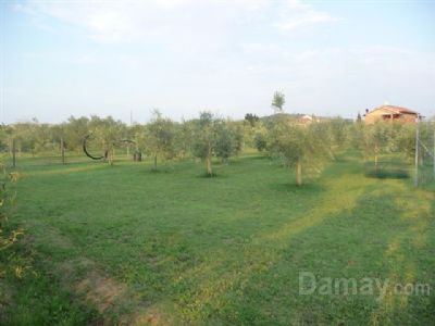 Grosseto Casa-Villa